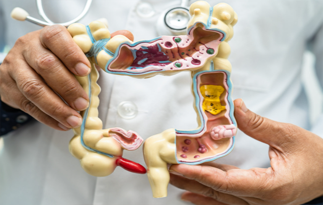 General Health and Immunity