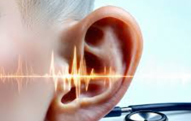 Hearing Health Support
